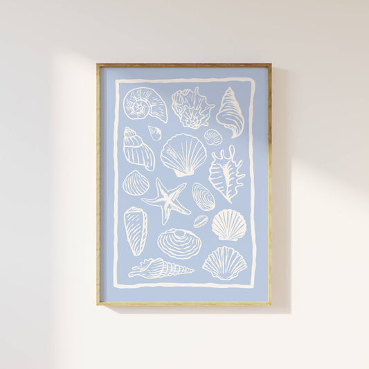 Framed artwork with white shell and starfish illustrations on a light blue background