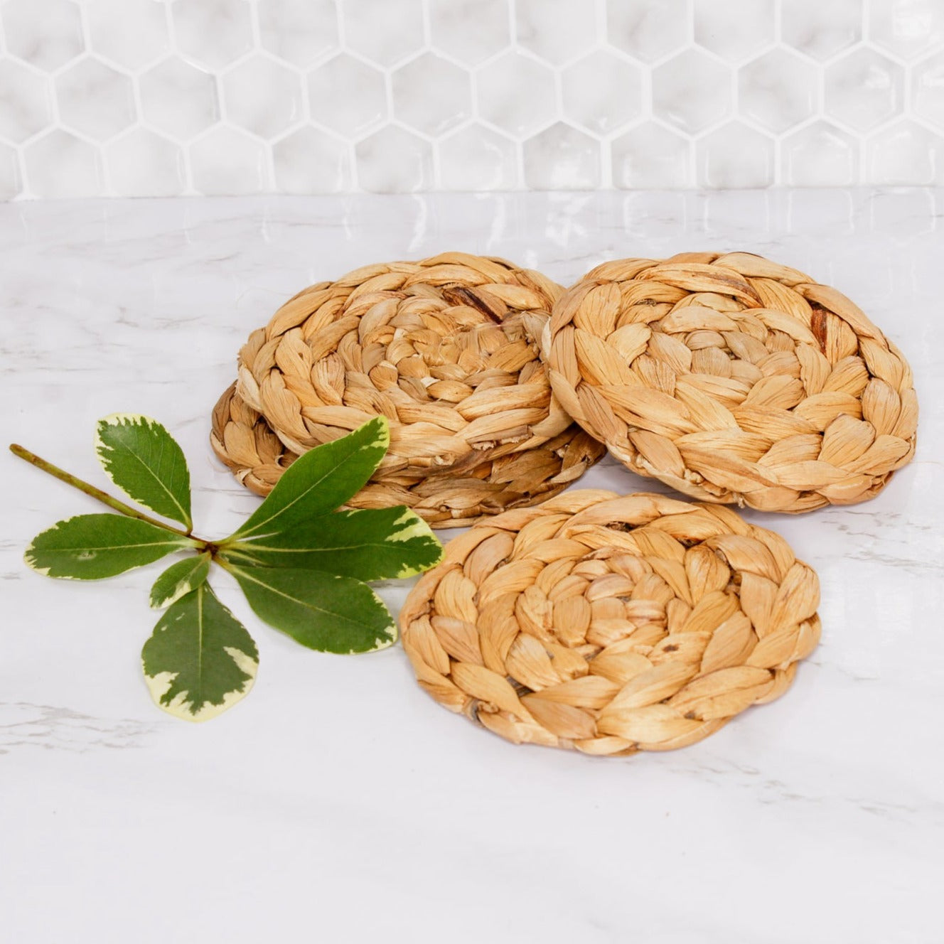 On a marble countertop, 4 round seagrass coasters sit next to a small piece of greenery